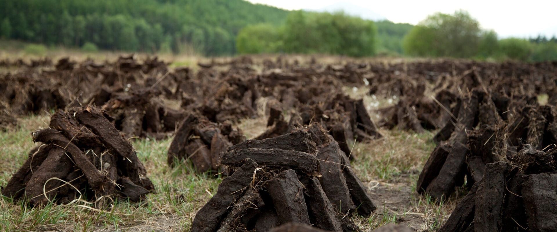 The use of peat is the most obvious connection between Scotland’s land and whisky.